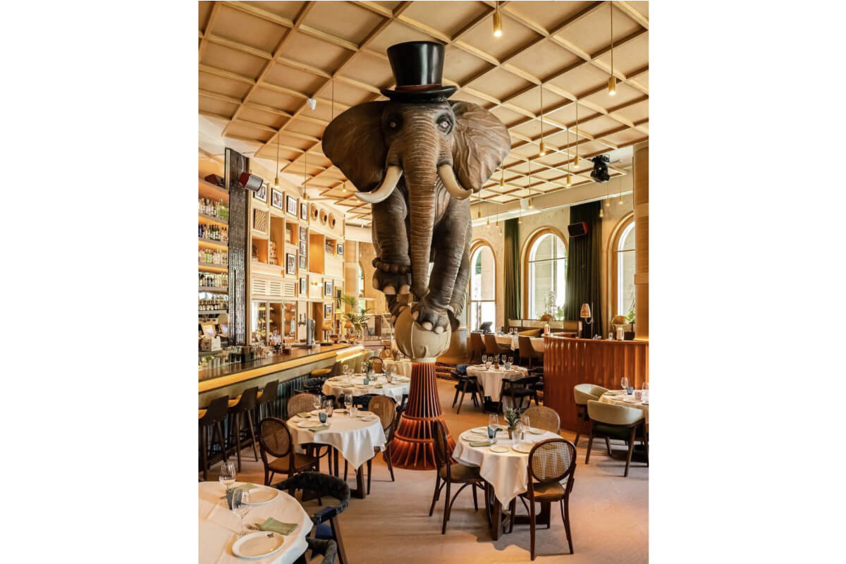 Elefante Restaurante Fanático